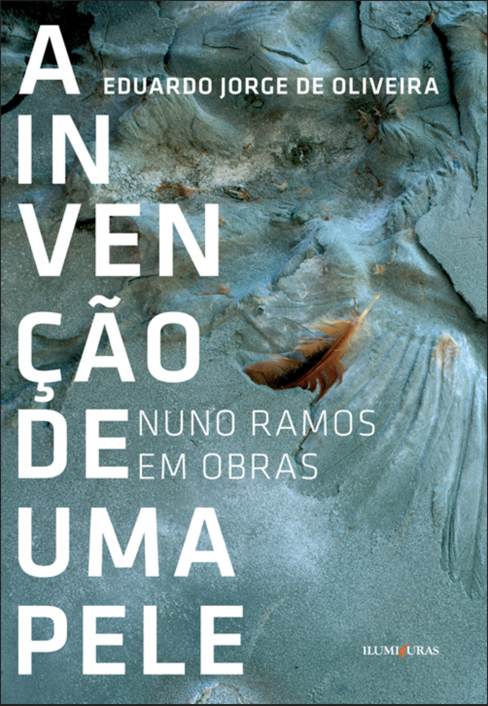 A INVENÇÃO DE UMA PELE – Nuno Ramos em obras